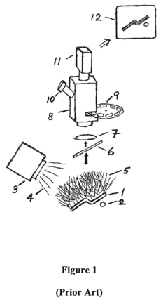 System and Method for Improved Forensic Analysis