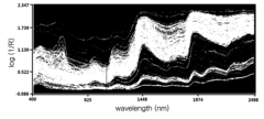 Method of simultaneously analyzing amount of nutritional component in various foods having different physicochemical properties and compositions by near-infrared reflectance spectroscopy