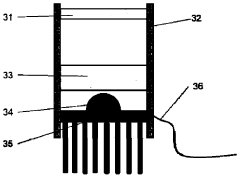 Soil pH value two-dimensional dynamic distribution detection device