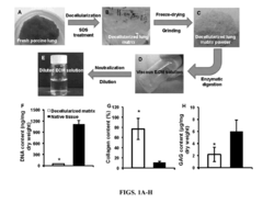 Nanoparticles containing extracellular matrix for drug delivery