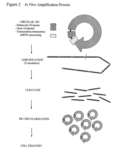 Cell Free Biosynthesis of High-Quality Nucleic Acid and Uses Thereof