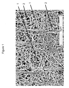 Expandable Functional TFE Copolymer Fine Powder, the Expandable Functional Products Obtained Therefrom and Reaction of the Expanded Products