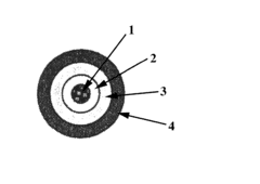 Controlled release system and method for manufacturing the same