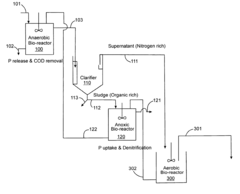 Treatment of wastewater containing phosphorous and nitrogen