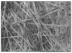 Biodegradable and/or bioabsorbable fibrous articles and methods for using the articles for medical applications