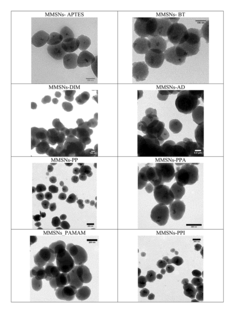 Use of Magnetic Mesoporous Silica Nanoparticles For Removing Uranium From Media