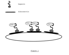Biomimetic membrane for cell expansion