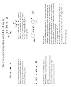 Crosslinking reagents, methods, and compositions for studying protein-protein interactions