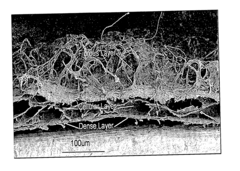 Three dimensional-BIO-mimicking active scaffolds