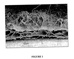 Three dimensional-BIO-mimicking active scaffolds