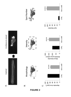 High throughput and functional screening method for muscle related disorders and biological processes