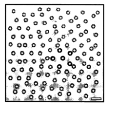 Assembly of quasicrystalline photonic heterostructures