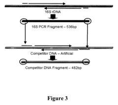 Gene probes for the selective detection of microorganisms that reductively dechlorinate polychlorinated biphenyl compounds