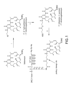 Elastin-like polymer delivery vehicles