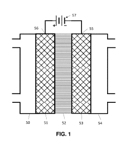 Electrocatalytic Process for Carbon Dioxide Conversion