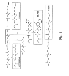 Bifunctional-modified hydrogels
