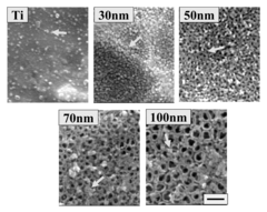 Articles comprising nano-materials for geometry-guided stem cell differentiation and enhanced bone growth