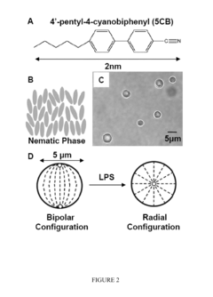 Analyte detection using liquid crystals