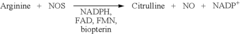 Detection of NO By Using Guanylyl Cyclase and cGMP Production as a Readout System