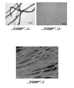 Cellulose nanofilaments and method to produce same