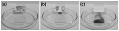 Preparation method and application of durable pH-responsive intelligent super-infiltrated fabric with self-repairing performance