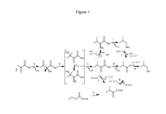Fermentive production of four carbon alcohols