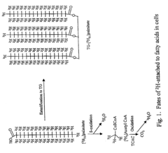 Methods for identifying the effect of a drug agent on the metabolism of sugars and fats in an individual