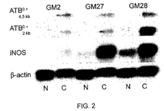 Prodrugs of Short-Chain Fatty Acids and Treatment Methods