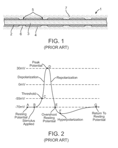 Method to enhance afferent and efferent transmission using noise resonance