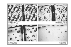 Self-Healing Polymer Materials for Wire Insulation, Polyimides, Flat Surfaces, and Inflatable Structures