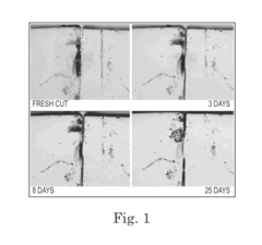 Self-Healing Polymer Materials for Wire Insulation, Polyimides, Flat Surfaces, and Inflatable Structures