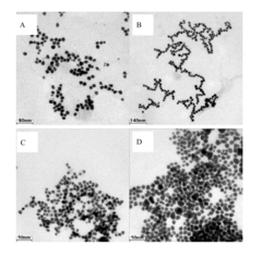 Luminescent gold nanoparticle functionalized by n-(4-aminobutyl)-n-ethylisoluminol, preparation and application thereof