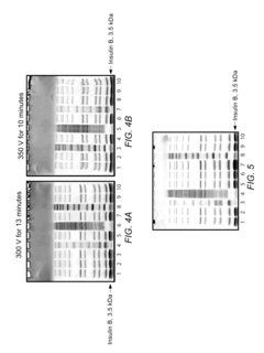 System for rapid high-resolution gel electrophoresis