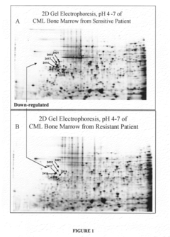 Actin proteins as biomarkers for indication and targeting of resistance and sensitivity to an Abl kinase inhibitor in patients with chronic myelogenous leukemia