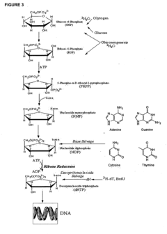 Molecular flux rates through critical pathways measured by stable isotope labeling in vivo, as biomarkers of drug action and disease activity