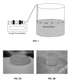 Three-dimensional bioprinting of biosynthetic cellulose (BC) implants and scaffolds for tissue engineering