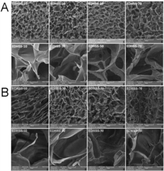 Hydroxyethyl cellulose/soybean protein composite sponge with water sensitive shape memory function and preparing method of composite sponge