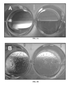 Three-dimensional scaffold culture system of functional pancreatic islets