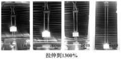 Autonomous self-repairing elastomer with high tensile property as well as preparation method and application thereof
