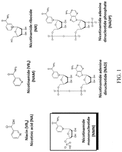 Biosynthesis of preparing nicotinamide mononucleotide and derivatives thereof