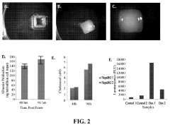 Use of Engineered Liver Tissue Constructs for Modeling Liver Disorders
