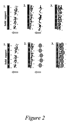 Drug delivery system based on polymer nanoshells