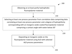Methods for Obtaining Hydrophilic Fluoropolymers