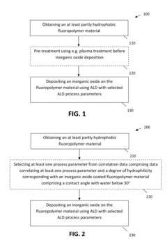 Methods for Obtaining Hydrophilic Fluoropolymers