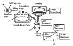 Wastewater photo biomass/algae treatment method