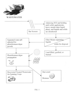 Wastewater photo biomass/algae treatment method