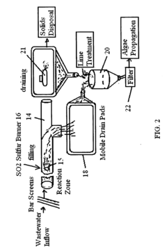 Wastewater photo biomass/algae treatment method