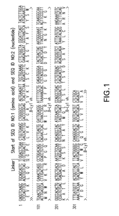 Antigen binding molecules with increased Fc receptor binding affinity and effector function
