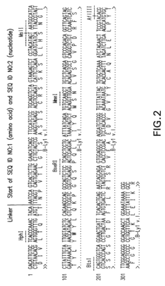 Antigen binding molecules with increased Fc receptor binding affinity and effector function