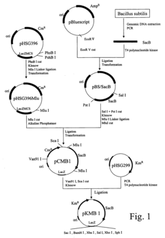 Process for producing succinic acid